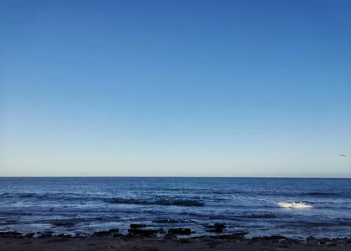 아파트 Smilciu Apartamentai Palangos Centre